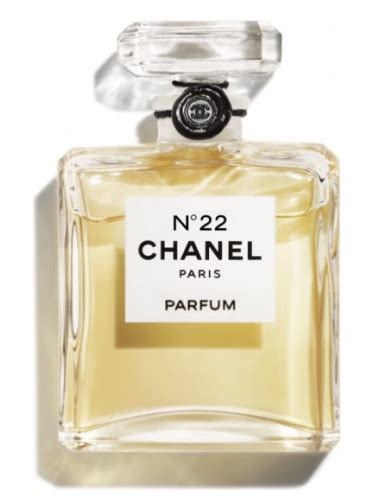 what does chanel number 22 smell like|Chanel 22 perfume for sale.